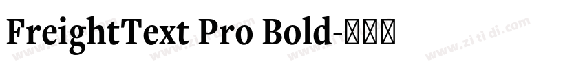 FreightText Pro Bold字体转换